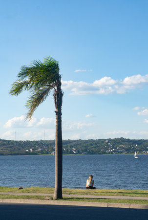 WOMAN SITTING ON THE SHORE OF A LAKE BELOW A PALM TREEの写真素材