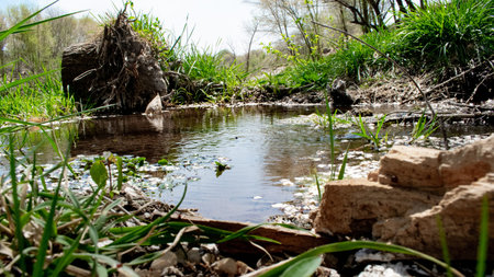 landscape with a small river in the springtime, nature series