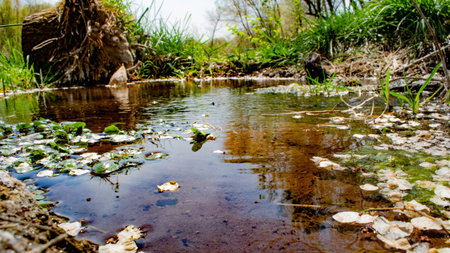 A small river in the middle of the forest in the spring.