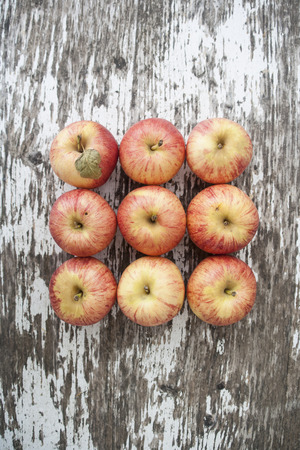 Nine applesの写真素材