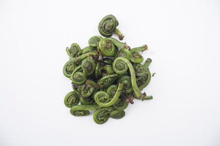 fiddle headsの写真素材