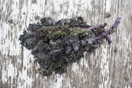 Purple kaleの写真素材