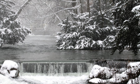 Winter in English Garden, Munich, Germany