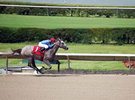 One Horse Winning Going Awayの写真素材