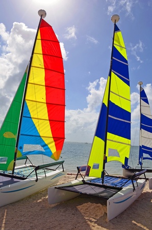 small sailing catamarans on a biscayne bay beachの写真素材