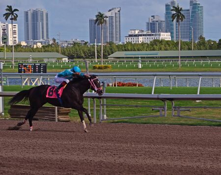 Kidstrong Fever winner of the first race on opening day 3 December 2011 at Gulfstream Park,Hallendale,Florida     g day at Gulfstream Park,Hallendale,Florida on3 December 2011のeditorial素材