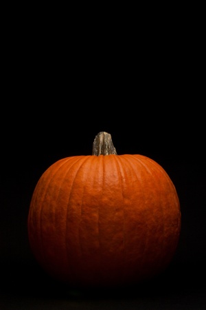 Pumpkin top-lit on vertical black background.の写真素材