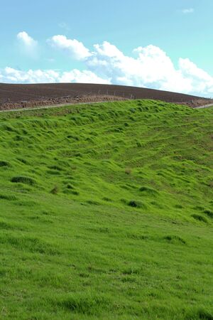 Green field with brown ploughed land and blue skyの写真素材