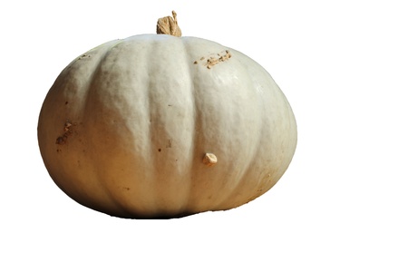 Small whole pumpkin placed on the floor in front of a wicker basketの写真素材