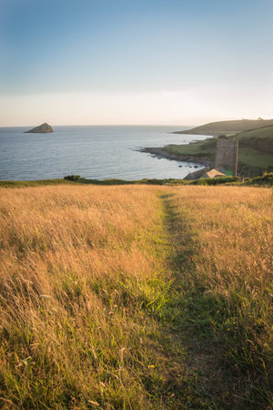 Meadow by the oceanの写真素材