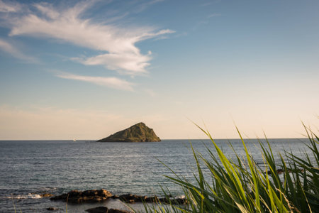 Reeds to the islandの写真素材