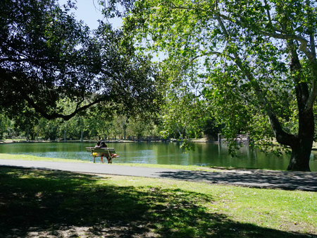 View from behind of romantic young couple sitting on bench at lakeside