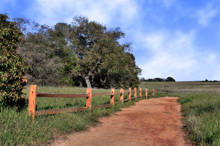 Dirt road running beside a rail fence