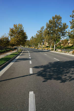 High angle view of empty tree lined street on sunny dayの写真素材