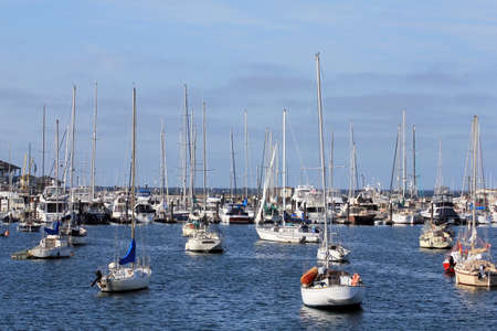 Large number of sailboats moored in a marinaの写真素材