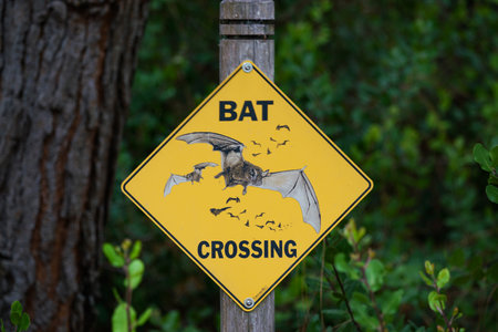 Yellow diamond bat crossing sign at wildlife preserve.のeditorial素材