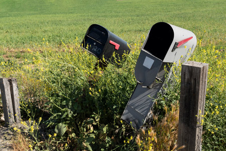 Overgrown rural mailboxes in need of maintenance at roadsideの写真素材