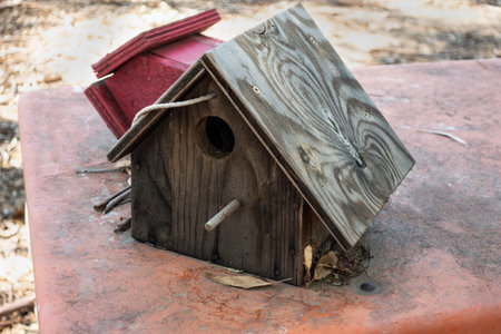 Old and weathered bird houses on a table outdoorsの写真素材
