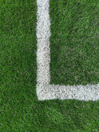 Close up of left corner of penalty box on soccer ptich.