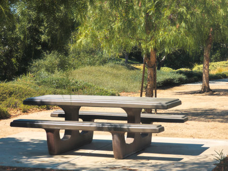 A concrete picnic table in a public park with trees in backgroundの写真素材
