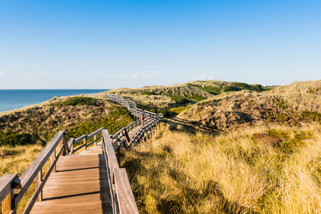 People on wooden footpath through dunes at the North sea beach in Germany.