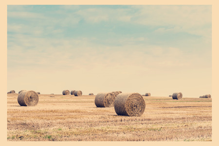 Big straw bale on field in summer-horizontal.の写真素材