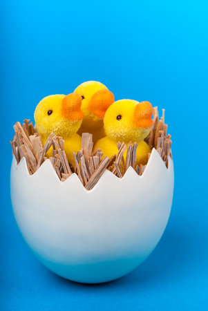 Easter, ducklings in egg, shell, on blue background vertical