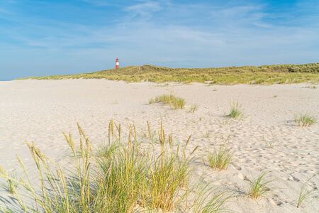Dune with beach grass in the foreground. White red lighthouse on background.の写真素材