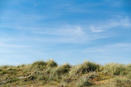 Dune with beach grass in the foreground.の写真素材