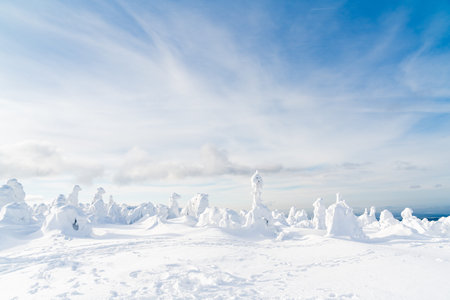 Strange frozen trees as figures in Sudety mountain in Poland on winter.