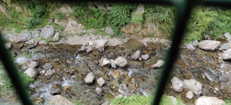 A view of a stream running through a forest, surrounded by rocks