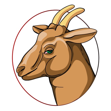 goat head, chinese zodiac sign isolated on whiteのイラスト素材