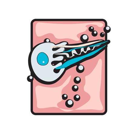 hand drawn graphic illustration of a jellyfish under the sea, clip art isolated on whiteのイラスト素材