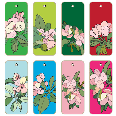 Price tags collection with apple tree flowers, hand drawn cartoon illustrations over colored backgrounds, series isolated on whiteのイラスト素材