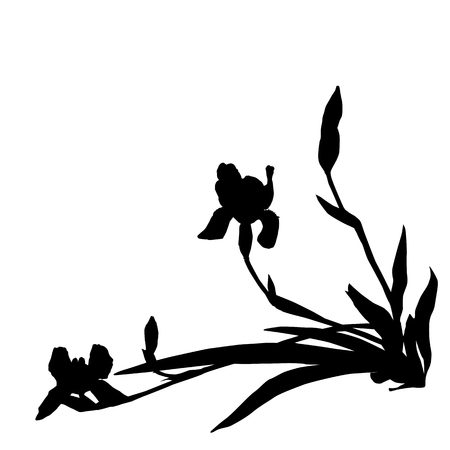 Irises silhouettes, illustration isolated on whiteのイラスト素材