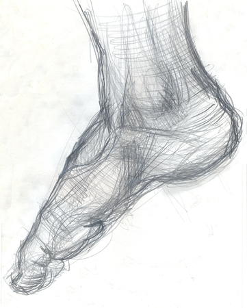 Hand drawn illustration of a human foot, original artistic sketch over paperの写真素材