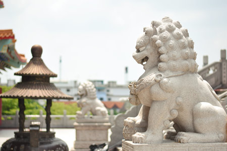Lion Chinese Statue in the Temple , Bangkok , Thailandの写真素材