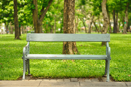 Lonely Chair in the Garden