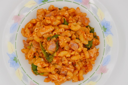 Macaroni with Tomato Sauceの写真素材