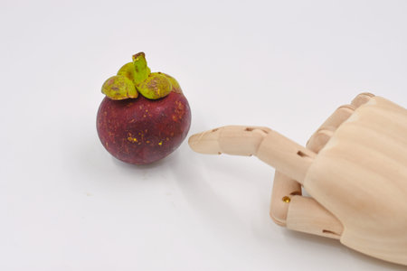 Mangosteenの写真素材