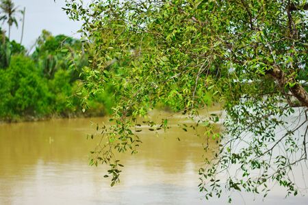 Along the Riverの写真素材