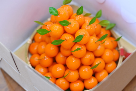 Deletable Imitation Fruitsの写真素材
