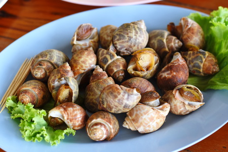 grilled areola Babylonの写真素材