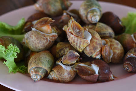 Snails in a plate on a wooden table. Close-up.の写真素材