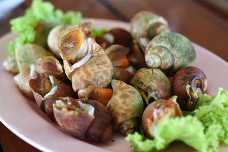 Snails in the shell on a plate. Snails on a plate.の写真素材