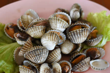 Fresh cockles on a plate with salad leaves. Close up.の写真素材