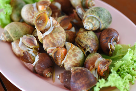 snails cooked on the grill with salt and pepper,Thailand