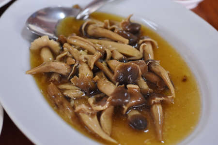 boiled oyster mushroom soup in white dish with spoon on tableの写真素材