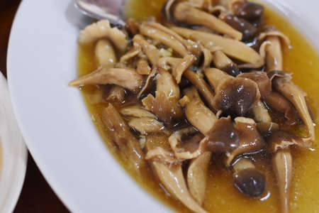 Mushroom soup in a white bowl.の写真素材