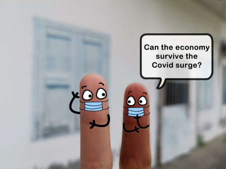 Two fingers are decorated as two person. One of them is asking if the economy can survive the covid surge.の写真素材
